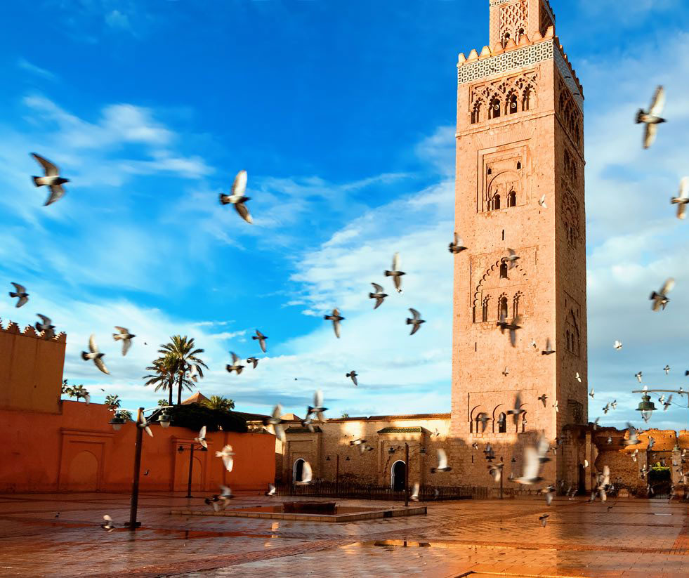 Agence de Transport Touristique à Marrakech